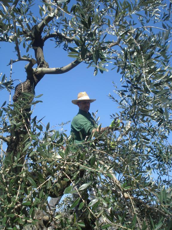 Podere Delle Fanciulle Pistoia Exterior foto